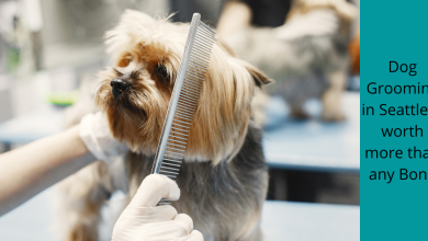 Dog Grooming in Seattle is worth more than any Bone