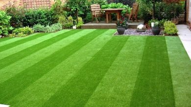 Lawn artificial grass