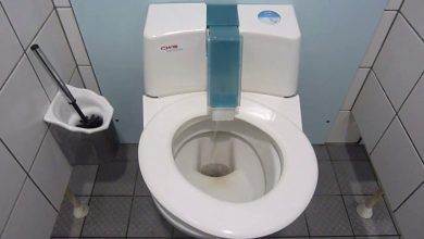 Automatic Toilet Self Cleaning