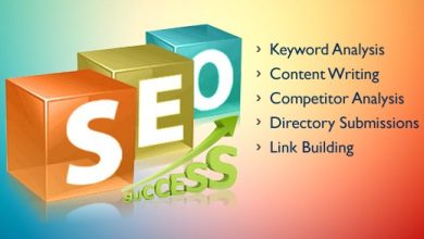 Indian SEO Company