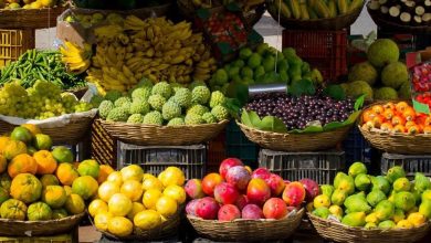 Local Fruits in Davao City