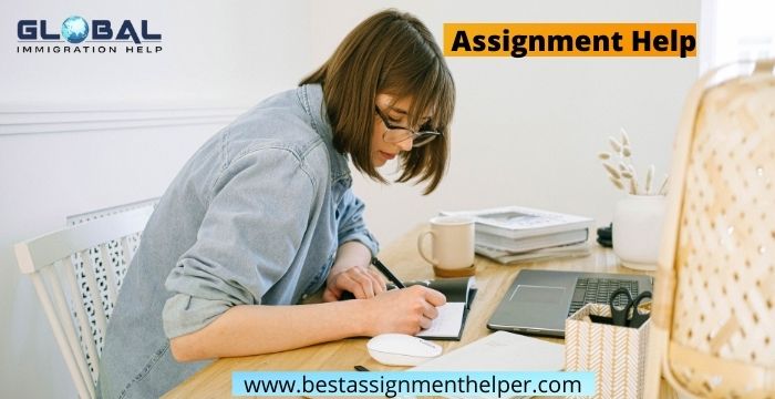 Assignment Help