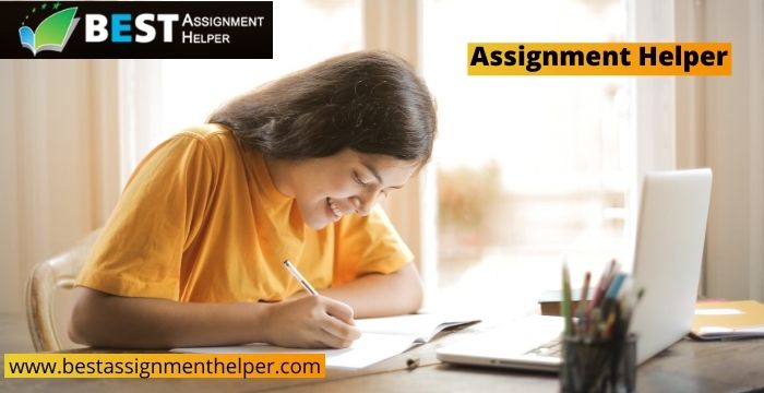 Assignment Helper