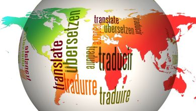 Translator Services