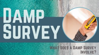 What does a Damp Survey Involve