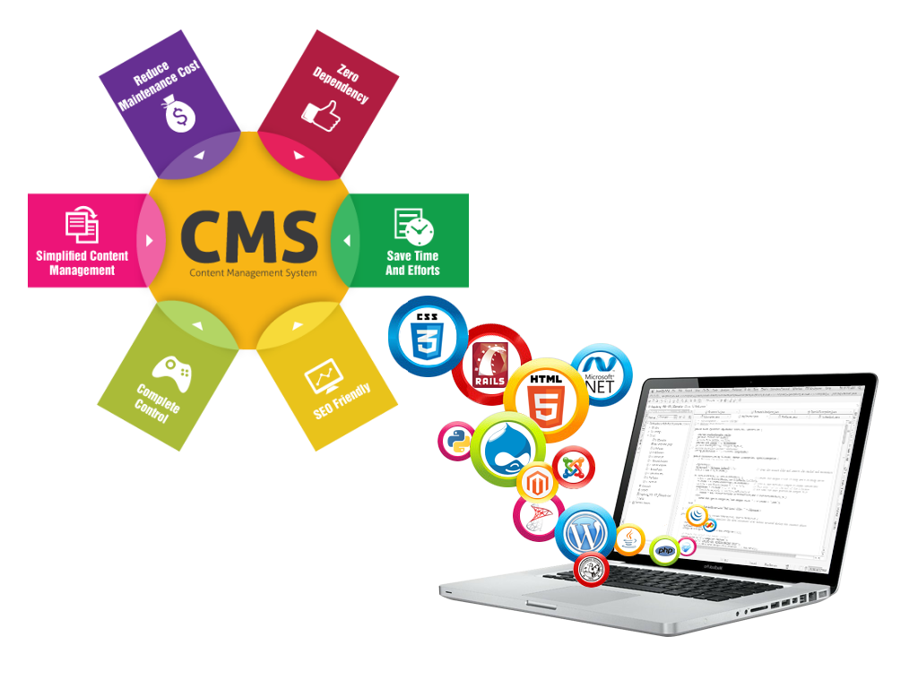 what is cms web development