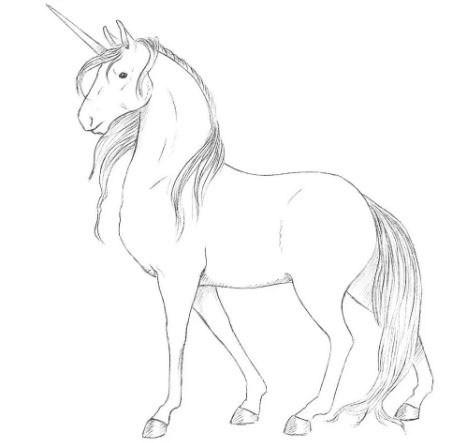 Unicorn