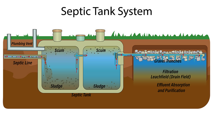 Septic System